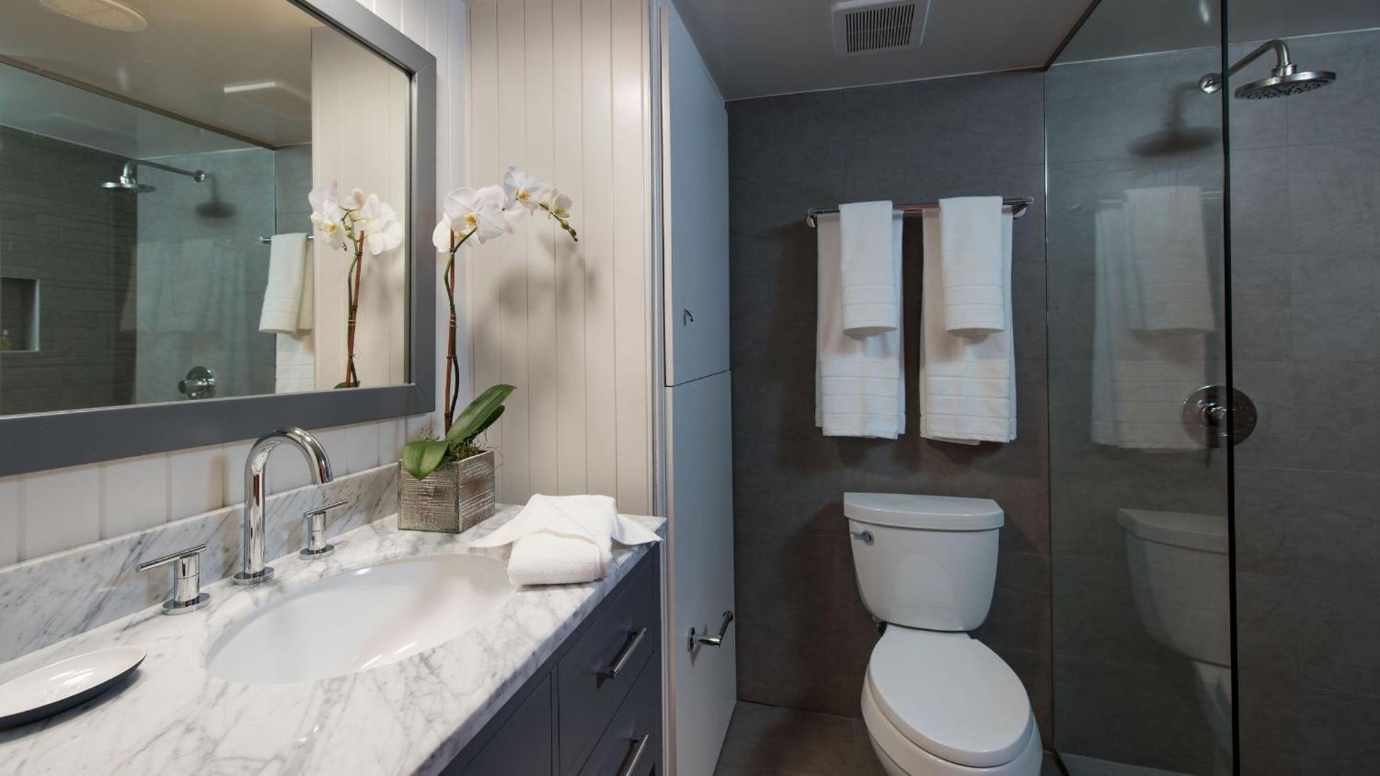 1 Bedroom Deluxe