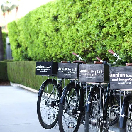 Avalon Hotel & Bungalows Palm Springs, A Member Of Design Hotels-2