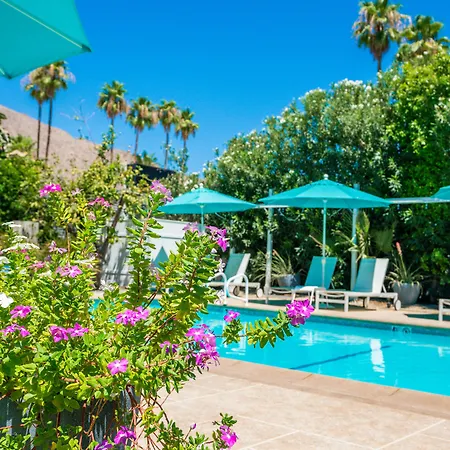 Bellevue Oasis - Adults Only-2