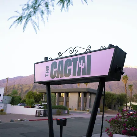 The Cactai-3